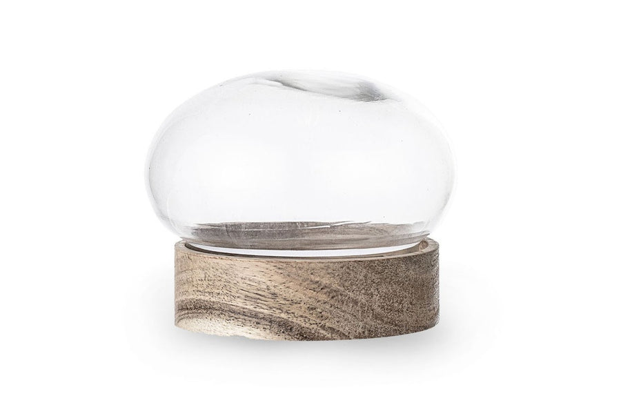 ガラス×天然木のデコレーションドーム/小物入れ