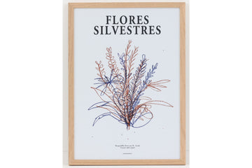 【訳ありアウトレット品】ポスター/アートプリント　A3　Flores Silvestres　フレーム付き