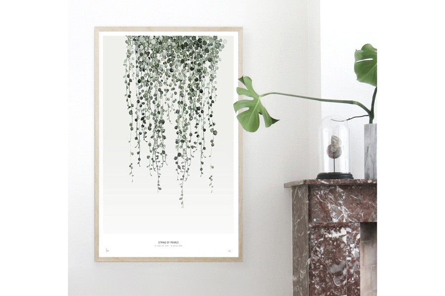 ポスター/アートプリント　30×40cm　String of pearls