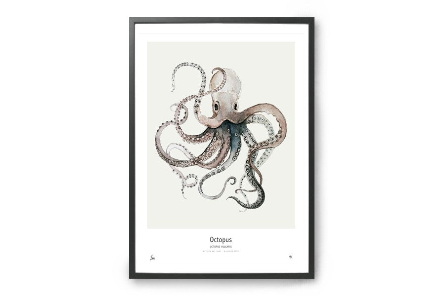 【在庫限り】ポスター/アートプリント　30×40cm　Octopus
