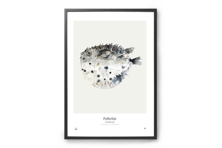 【在庫限り】ポスター/アートプリント　30×40cm　Pufferfish