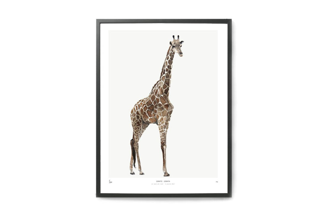 【在庫限り】ポスター/アートプリント　30×40cm　INTO THE WILD / Giraffe