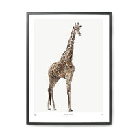 【在庫限り】ポスター/アートプリント　30×40cm　INTO THE WILD / Giraffe