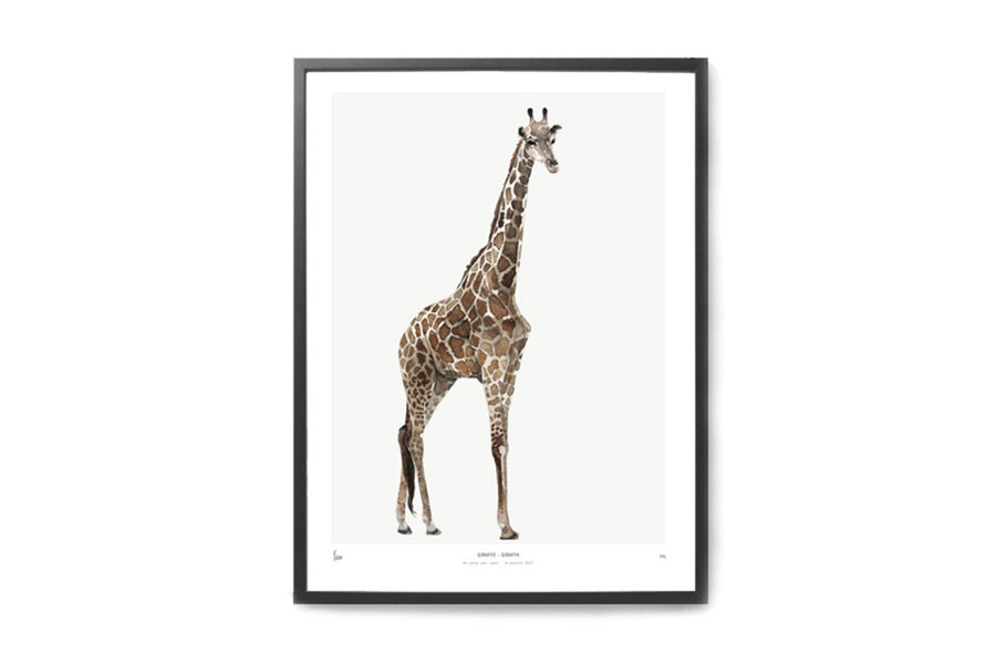 【在庫限り】ポスター/アートプリント　30×40cm　INTO THE WILD / Giraffe