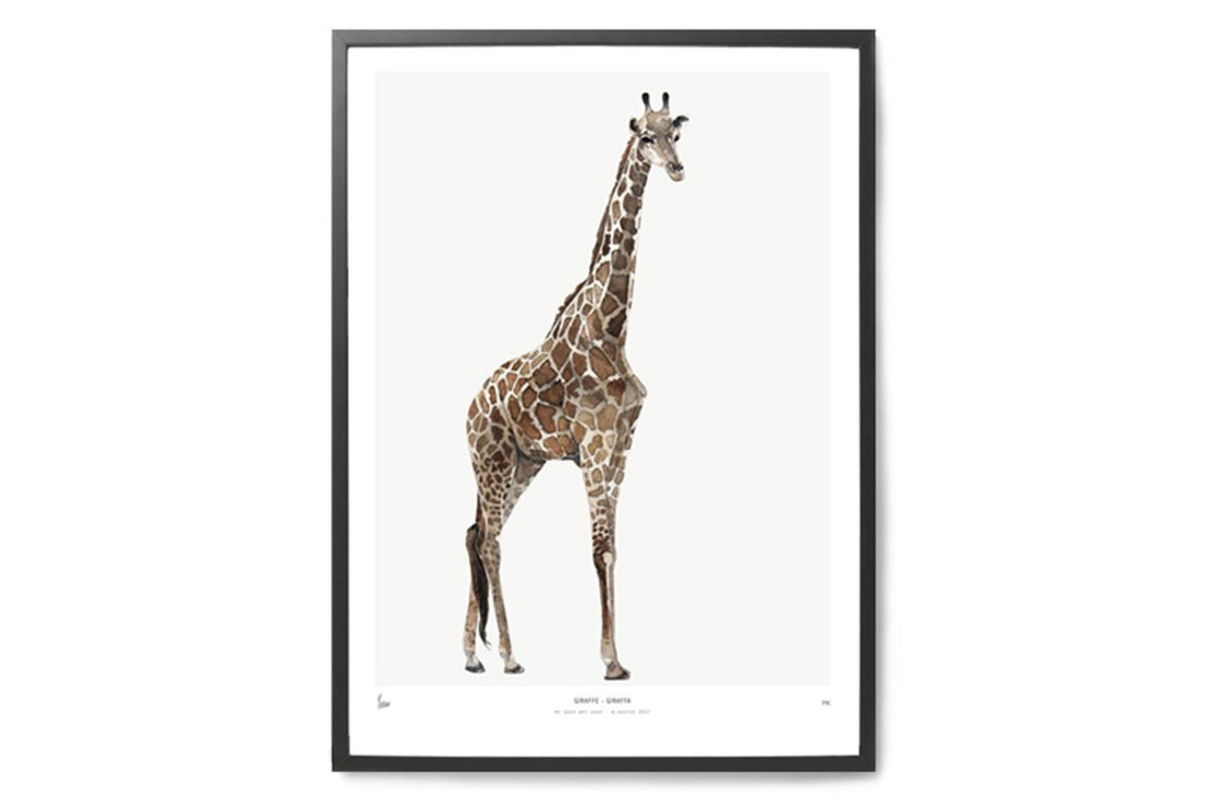 【在庫限り】ポスター/アートプリント　50×70cm　INTO THE WILD / Giraffe