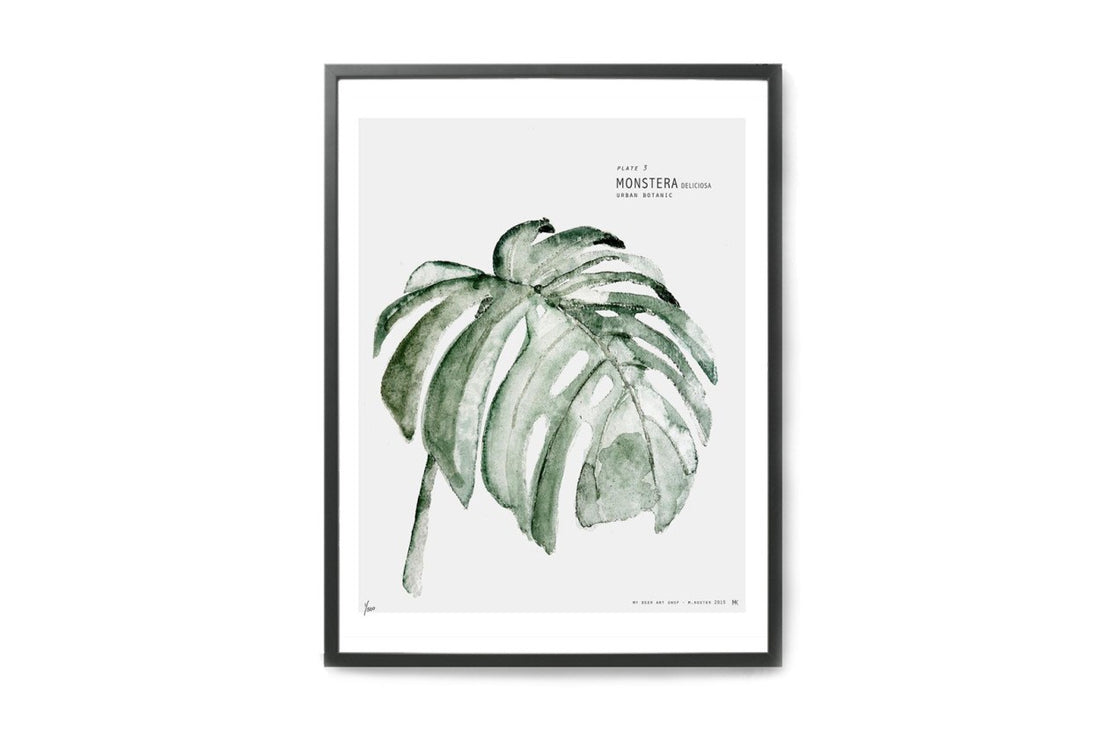 【在庫限り】ポスター/アートプリント　30×40cm　URBAN BOTANIC / Monstera