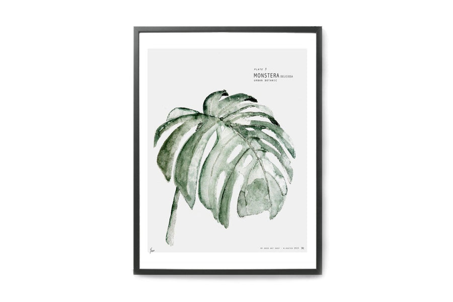【在庫限り】ポスター/アートプリント　30×40cm　URBAN BOTANIC / Monstera