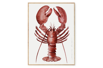 【在庫限り】ポスター/アートプリント　50×70cm　Lobster　(Limited edition #250)