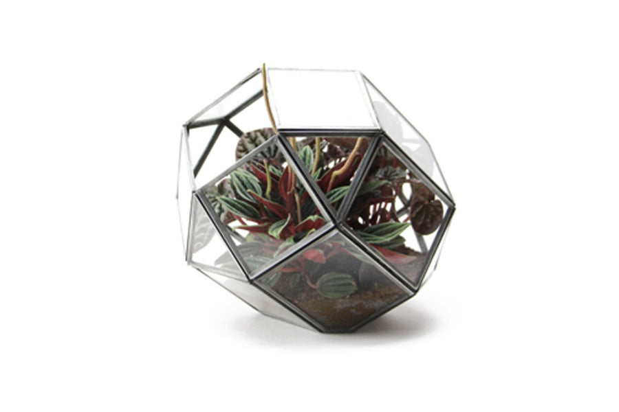 テラリウムガラスケース　Polyhedron　Sサイズ