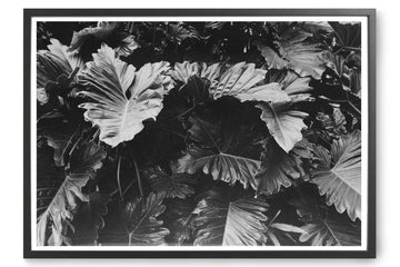 ポスター/アートプリント　50×70cm　Botanical no.3