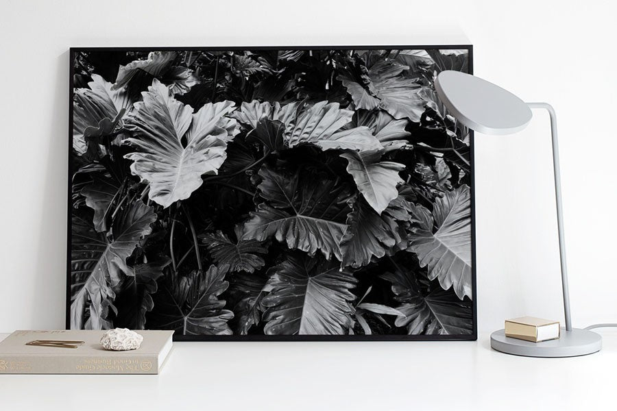 ポスター/アートプリント　50×70cm　Botanical no.3