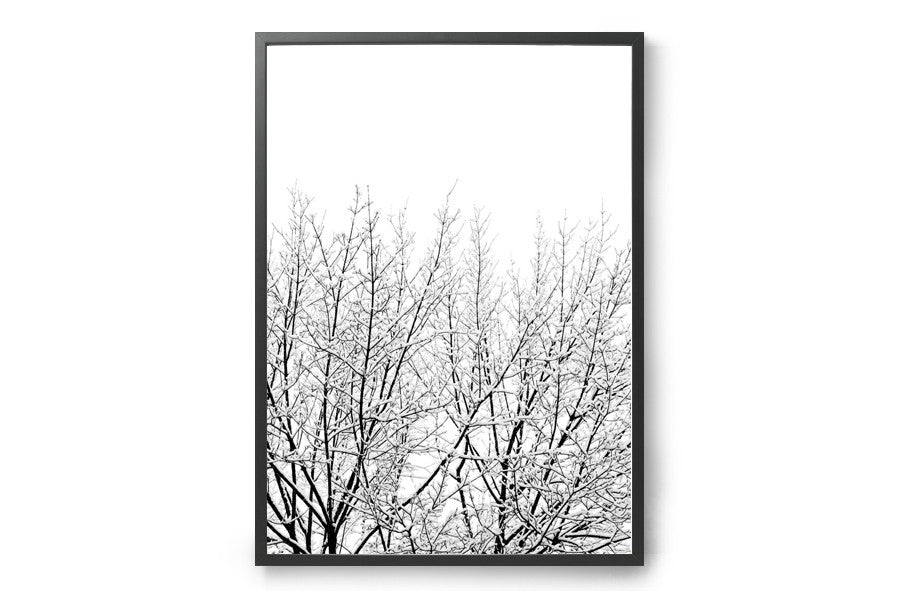 ポスター/アートプリント　50×70cm　Snowy Tree