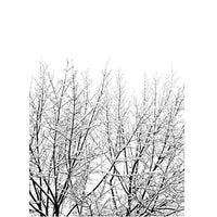 ポスター/アートプリント　50×70cm　Snowy Tree