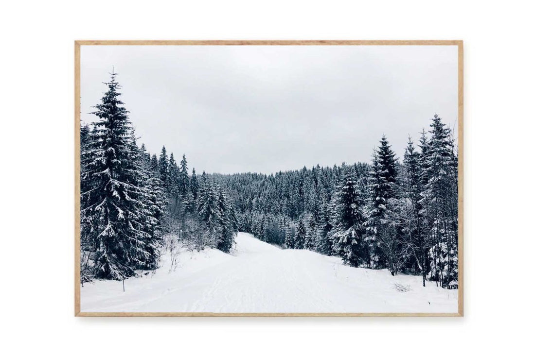 ポスター/アートプリント　50×70cm　Winter Wonderland