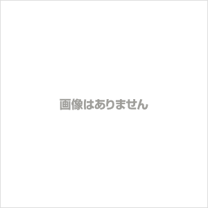 【修復跡あり】Lisa Larson リサ ラーソン　SKULPTURERシリーズ　Japanskaヤパンスカ　日本人