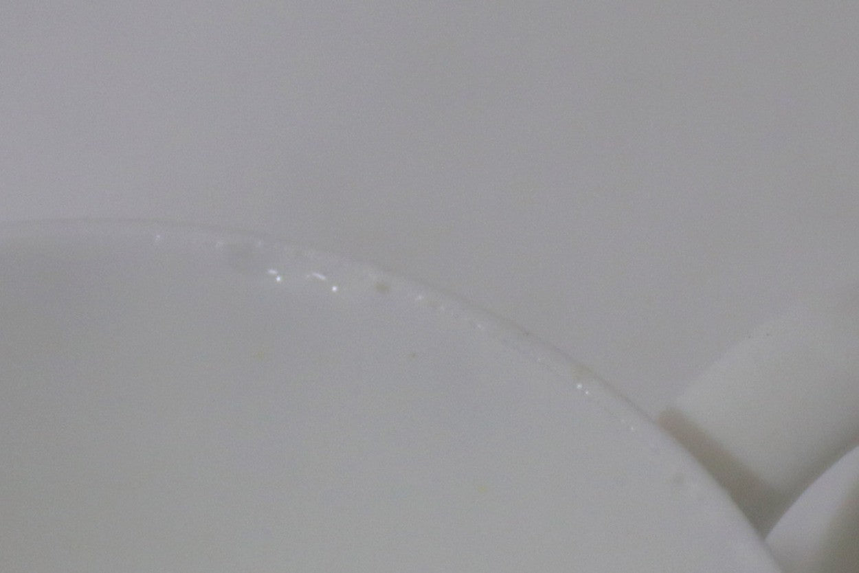 スティグリンドベリデザイン、サーリックス（グレー）のコーヒーカップソーサーです。1954年から65年に製造されたモデル。スカンジナビアンテーブルウェアズで発表されたシリーズでサーリックス（柳）の葉がデザインになっています。近年復刻盤が発売されましたが、こちらは丸みのある形状のもので希少なビンテージ製品となります。