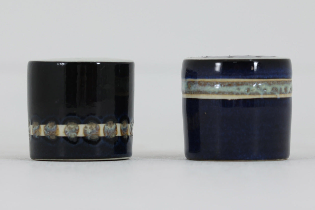 ロイヤルコペンハーゲン社製、ingelisekoefoedデザイン、Teneraシリーズのソルトペッパーセットです。