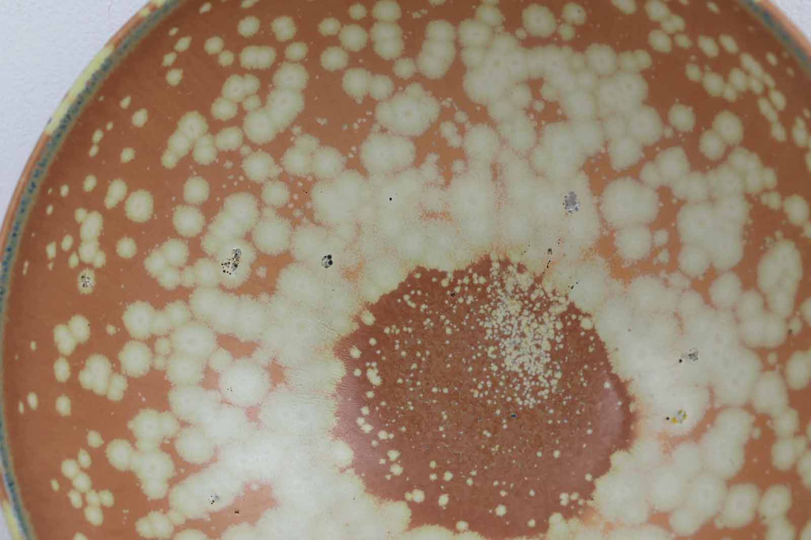 フィンランド人で彫刻家の父と、デンマーク人で陶芸家の母の元に育つGunnarNylundはデンマークで建築を学んだ後、Bing&amp;amp;Grondahl窯、スウェーデンRorstrand窯に就業し、多くの作品を生み出しています。彼の作品は独特な流線型と釉薬が特徴で世界中で重宝されています。